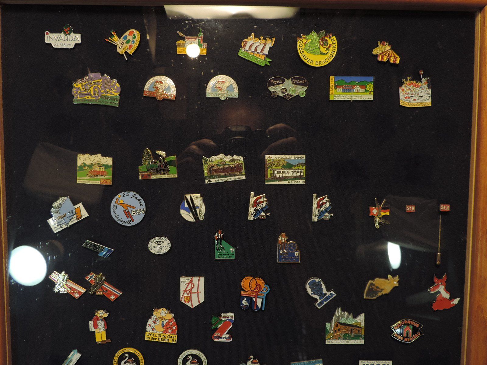 Vetrine: Pin Sammelvitrine aus Holz – Usato da Duggingen venduto da doogbua 2