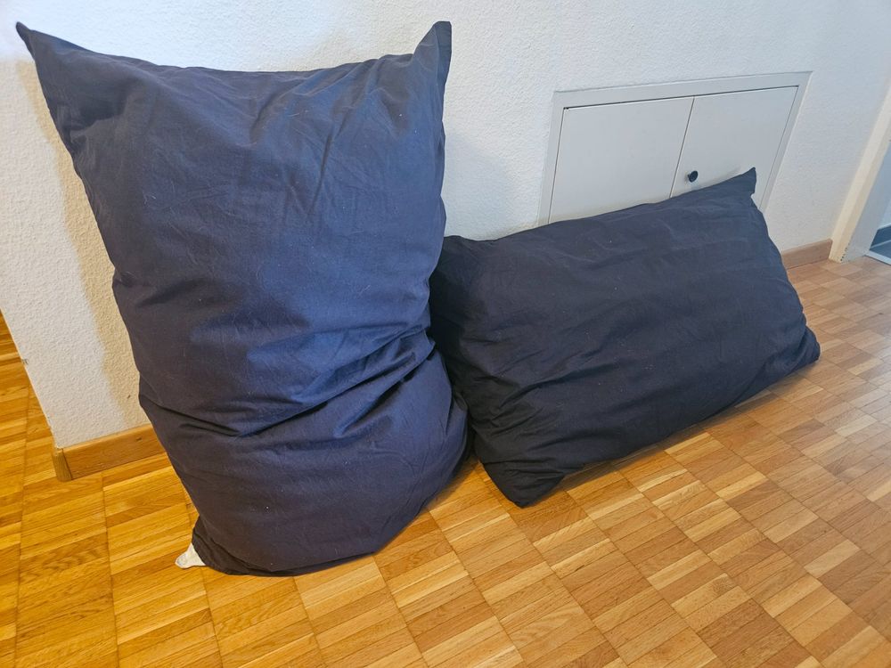 2 Sitzkissen von Ikea Kaufen auf Ricardo
