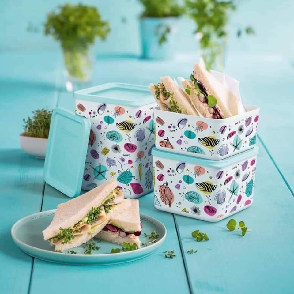 Tupperware Contenitori & Simili: Tupperware cubix set – Nuovo e nell'imballaggio originale da Thalheim AG venduto da vargatam1 2