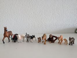 Animaux de la ferme et animaux sauvages