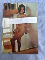Ansichtskarte Aktaufnahme Frau Fotocolor R 561 neu