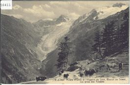 Point d'Orny et Aiguille du Tour, Glacier de Trient - animee