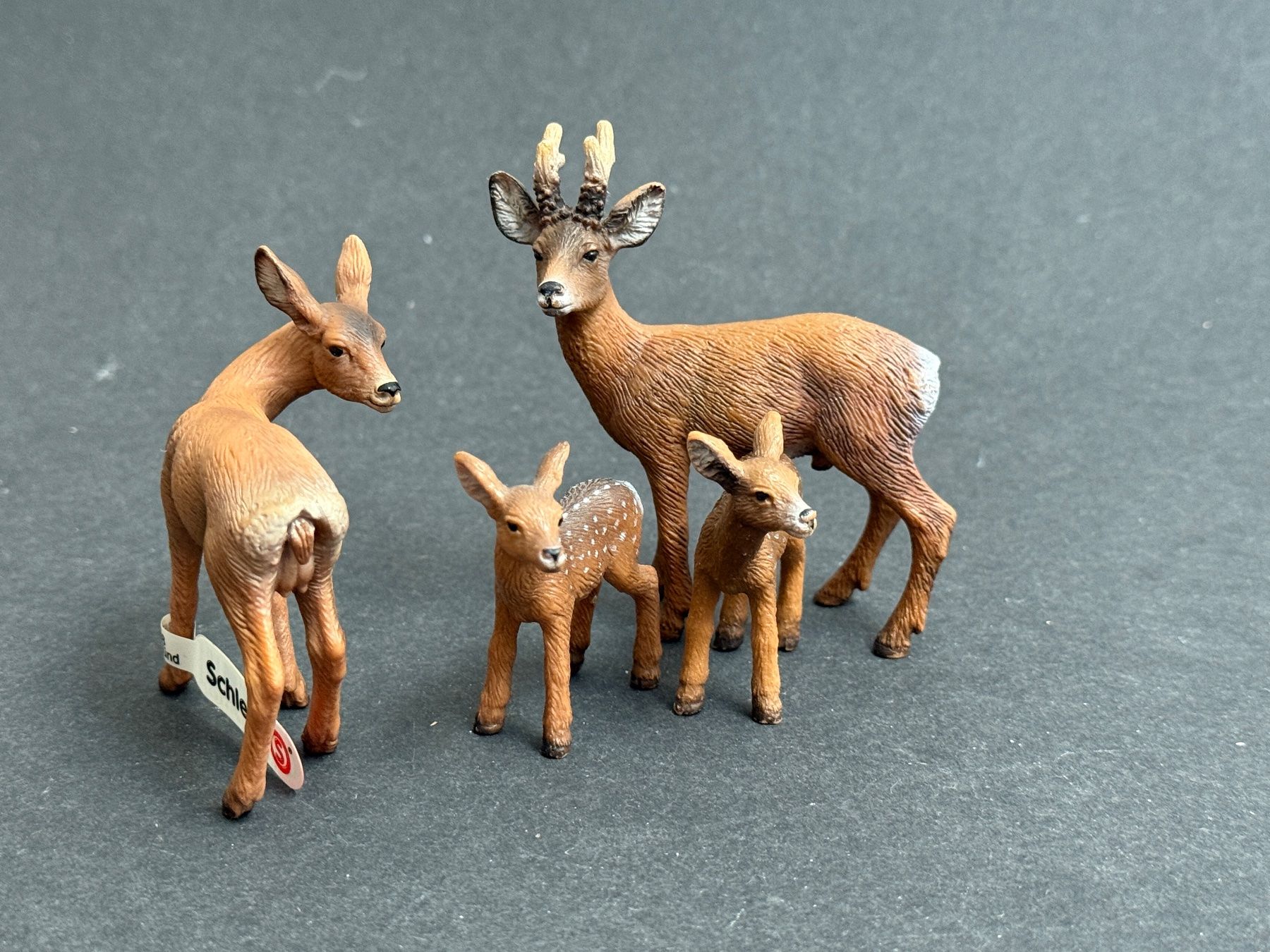 Schleich Statuette: Schleich Rehbock, Reh, Rehkitz Kitz Wald – Usato da Ennetbaden venduto da mapa05 8