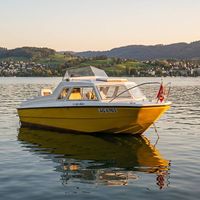 Motorboot mieten ohne Führerschein - Zürichsee & Limmat