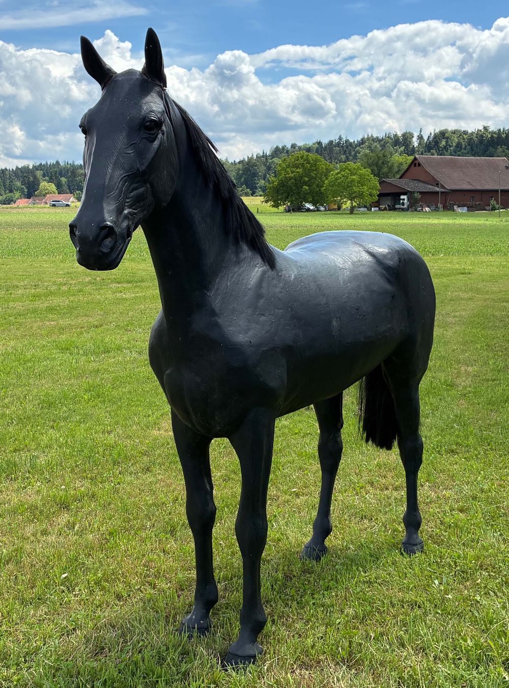 Statuette: Schwarzes Pferd Lebensgross – Usato da Bäretswil venduto da robsonantik 5