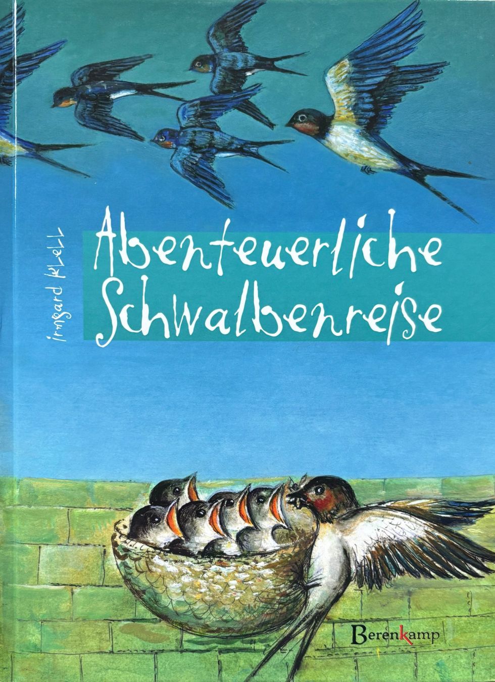 Libri: Klell Irmard, Abenteuerliche Schwalbenreise – Nuovo (secondo la descrizione) da Sarnen venduto da Livres