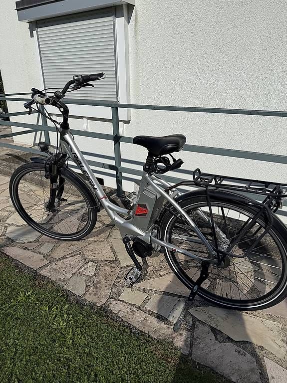 Biciclette: E-Bike Raleigh Dover Ltd L – Usato da Wetzikon ZH venduto da aixenprovence