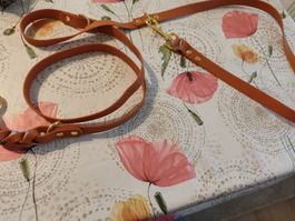 Hundeleine verstellbar