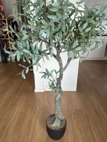 Pflanze / Decorative tree