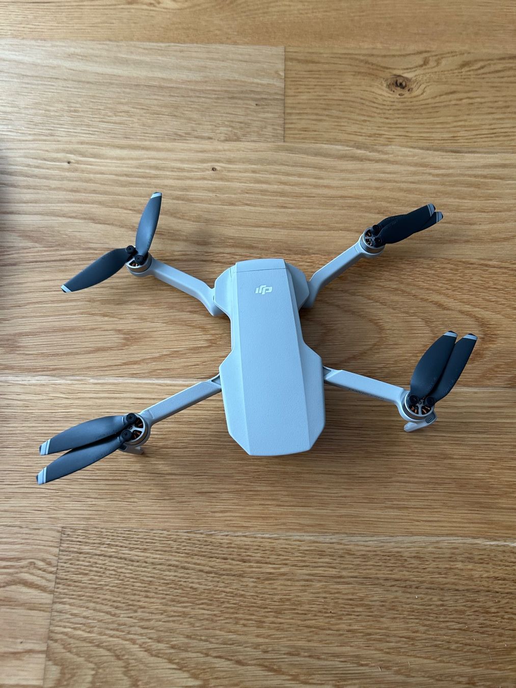DJI Modellismo RC: DJI Mavic Mini Drohne - Top Zustand – Usato da Altenrhein venduto da _6sbw