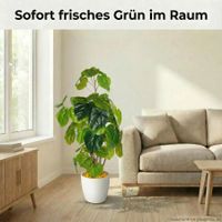 HST Kunstpflanze Ficus Kunstpalme Kunstblume Kunstbaum