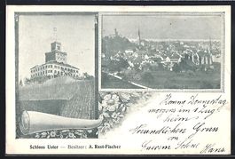AK Uster, Schloss, Ortsansicht, 1902