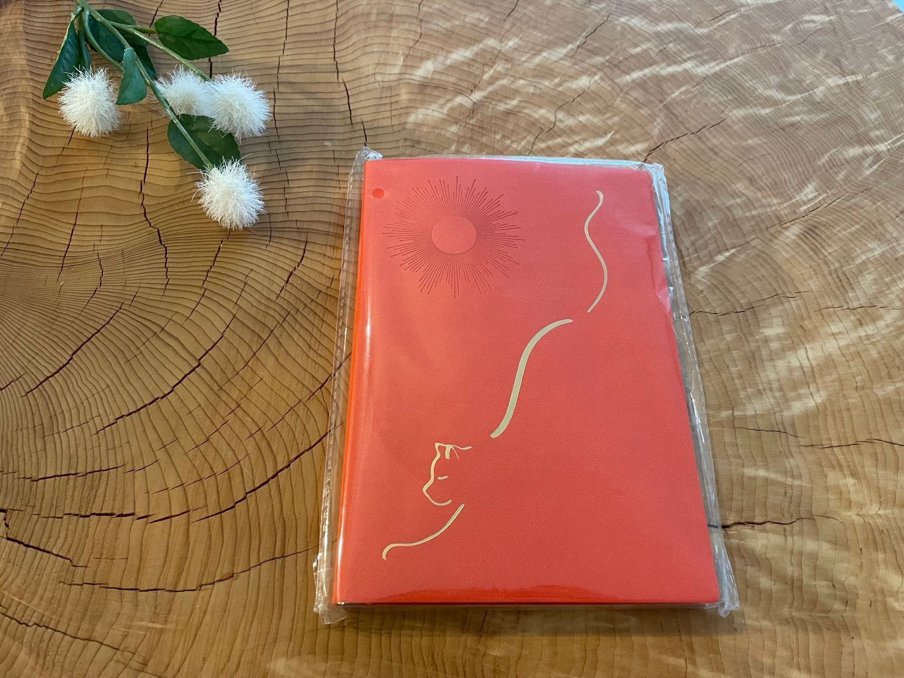 Schreibblöcke: NEU!!! "Katze" Notizbuch / carnet de notes motif chat A5 – Neu und originalverpackt aus Zürich von AnnaSa