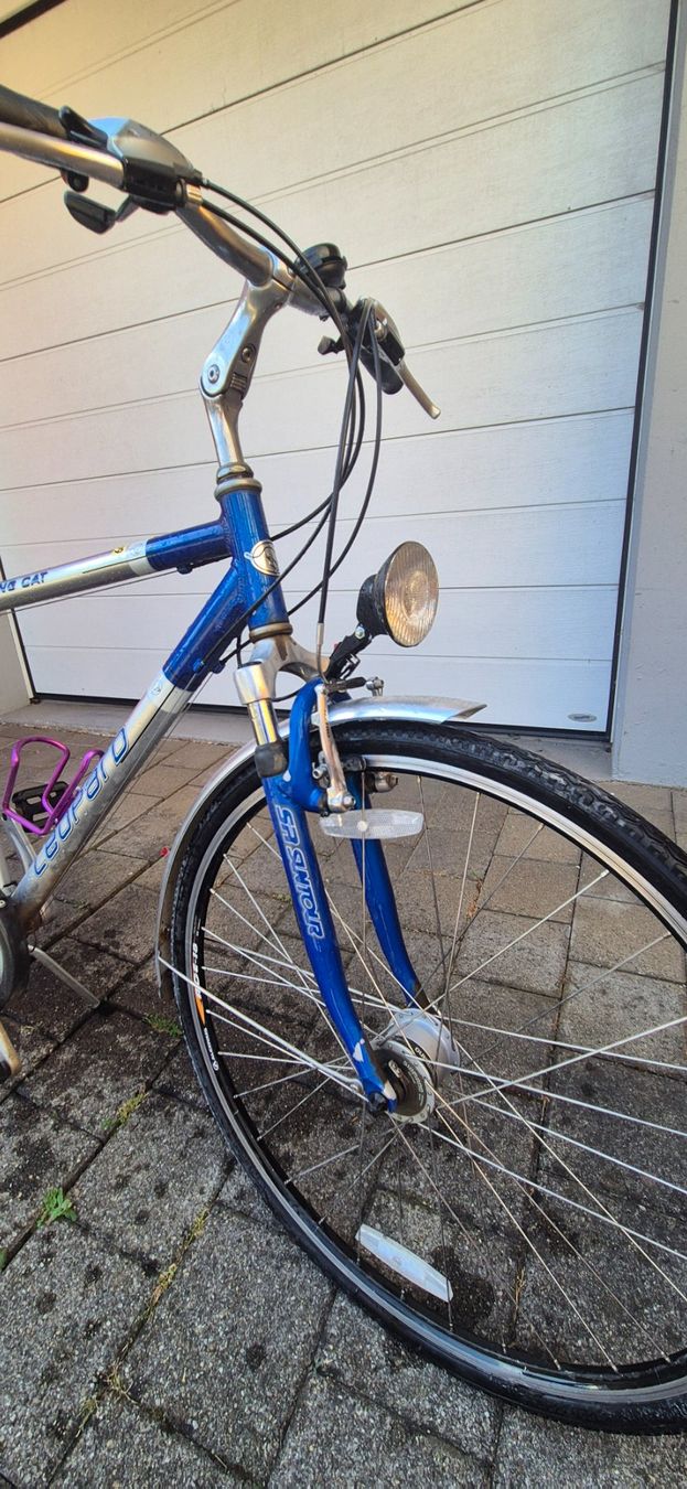 Velos: Trekking Cat Velo Leopard – Gebraucht aus St Gallen von Hrabbit 4