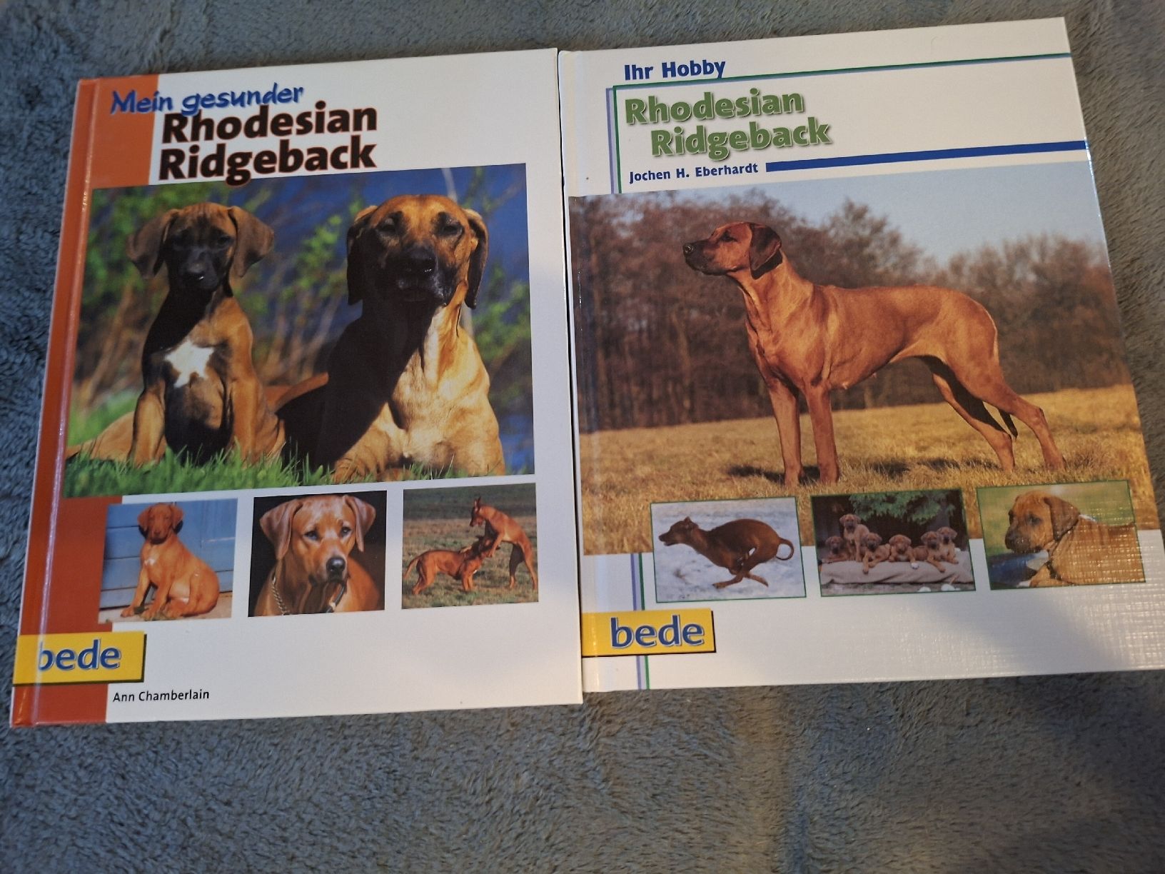 Libri: 2 Rhodesian Ridgeback Hunde Bücher – Usato da Teufen AR venduto da nad_55nm