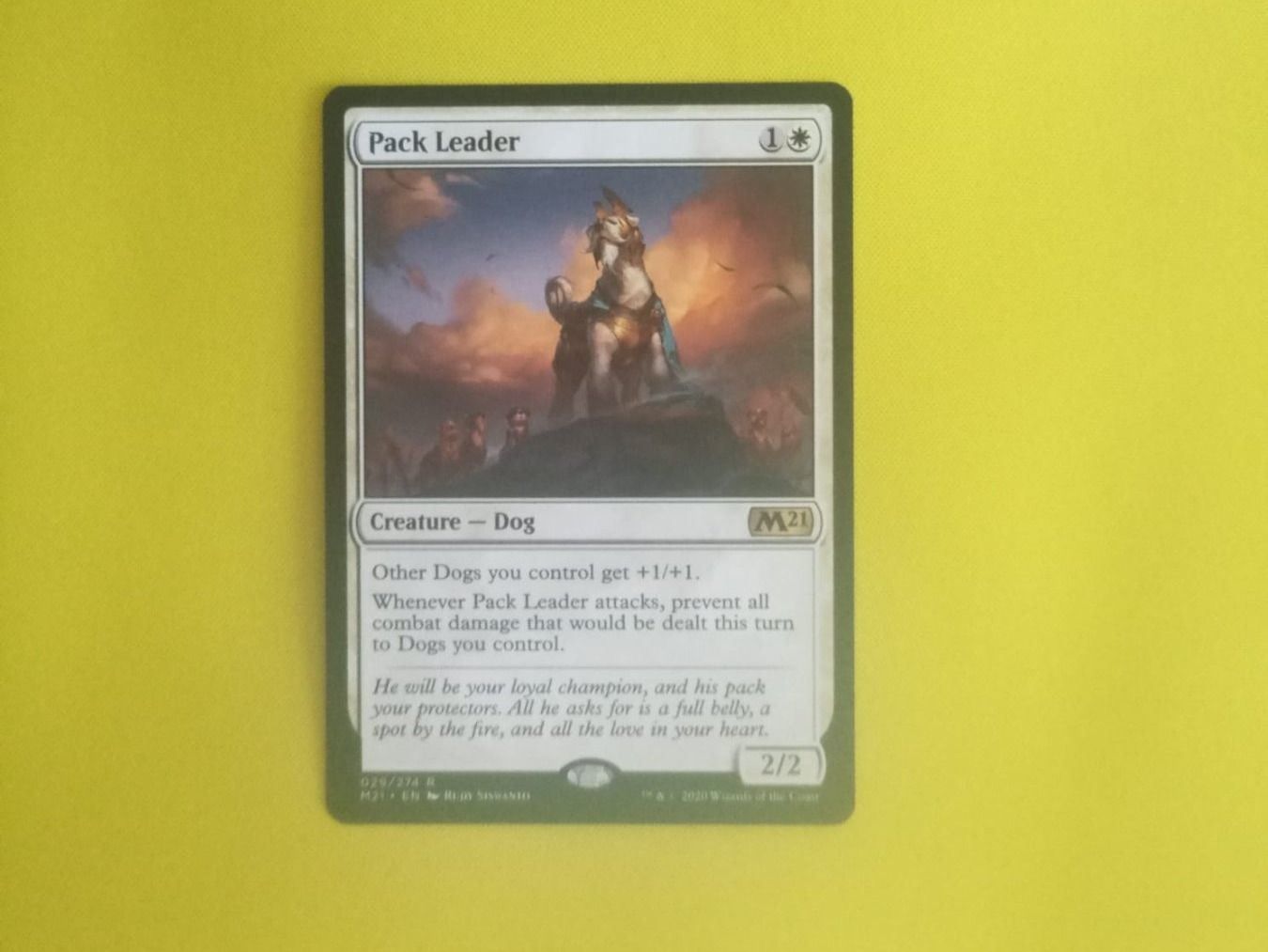 Cartoline: MTG Pack Leader – Nuovo (secondo la descrizione) da Matzendorf venduto da SwissMagicKarten