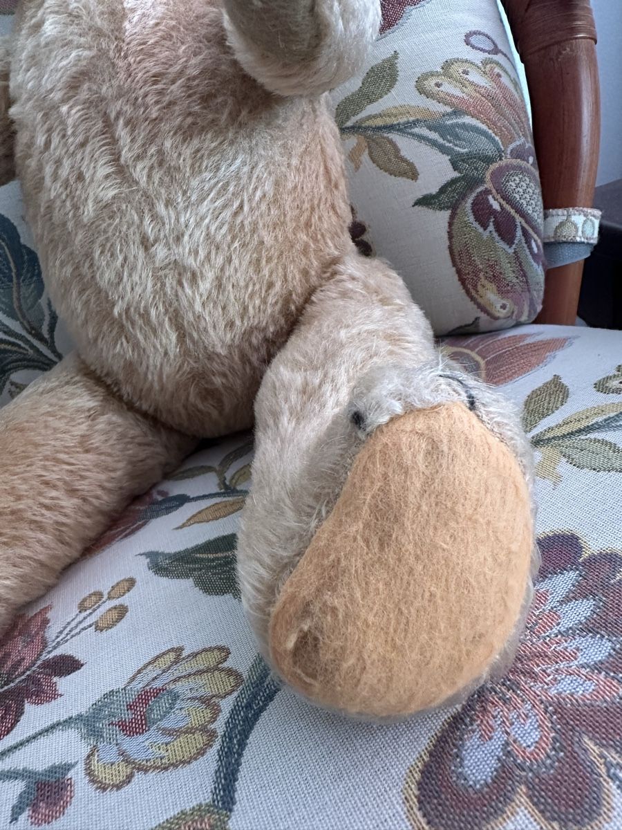 Teddy Hermann Giocattoli: Vintage Hermann Bär 50 cm – Usato da Herbriggen venduto da Sehrazade 2