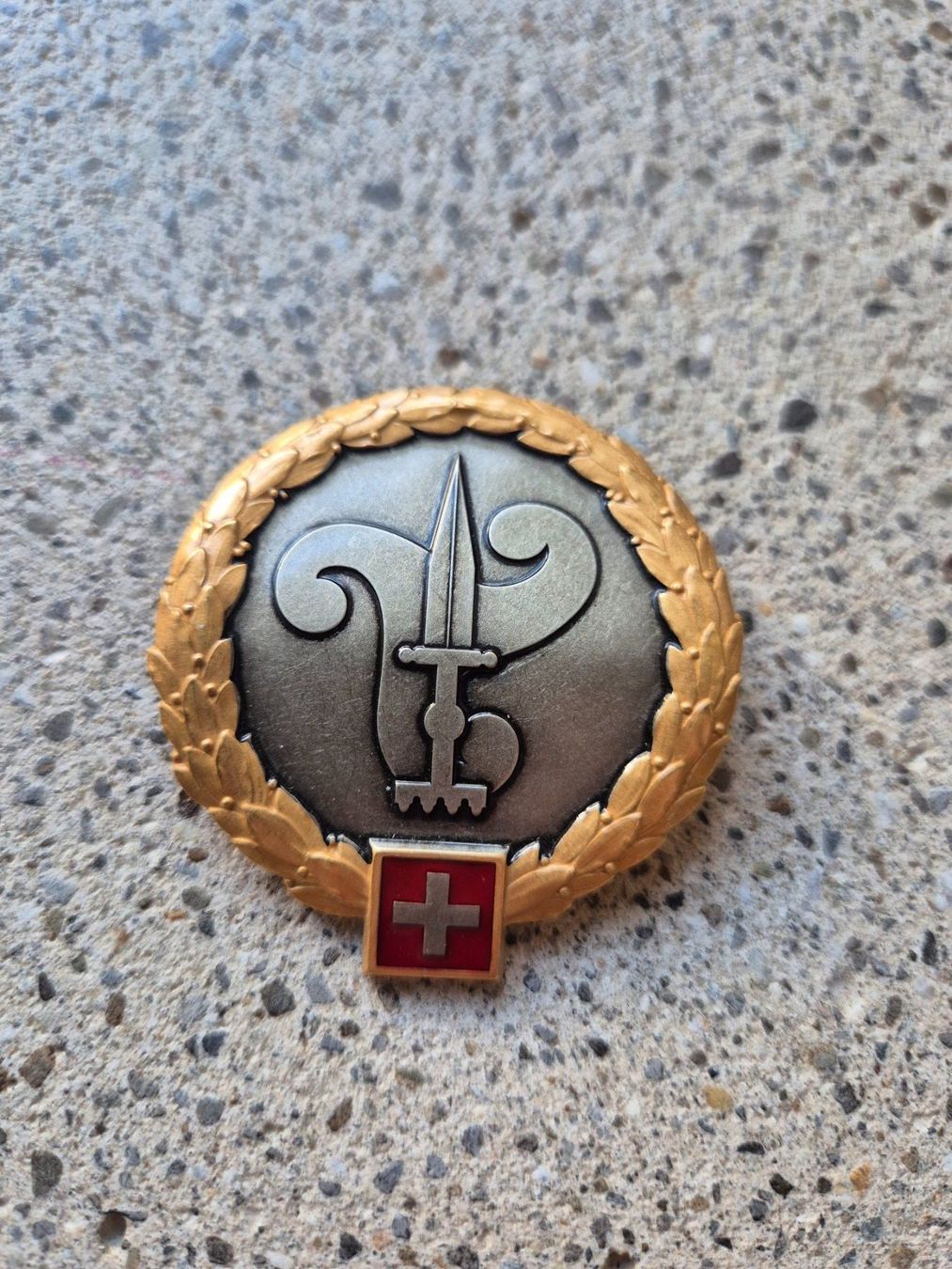 Schweizer Armee Placchette & Badge: *** Beretemblem Offiziersschule Infanterie *** – Usato da Riedholz venduto da fr_sIruP