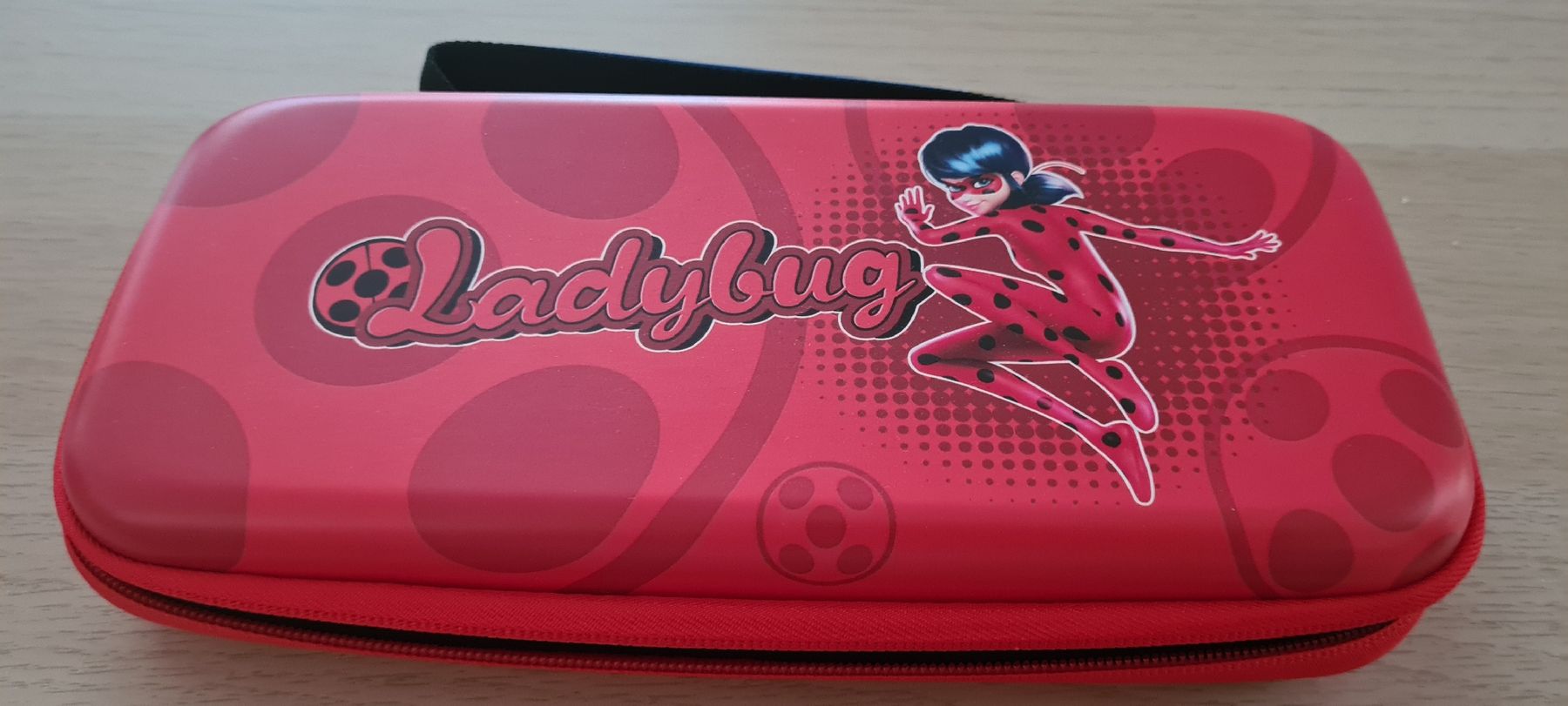 Nintendo Konsolen: Etui für Switch 2 – Gebraucht aus Büron von Heu2