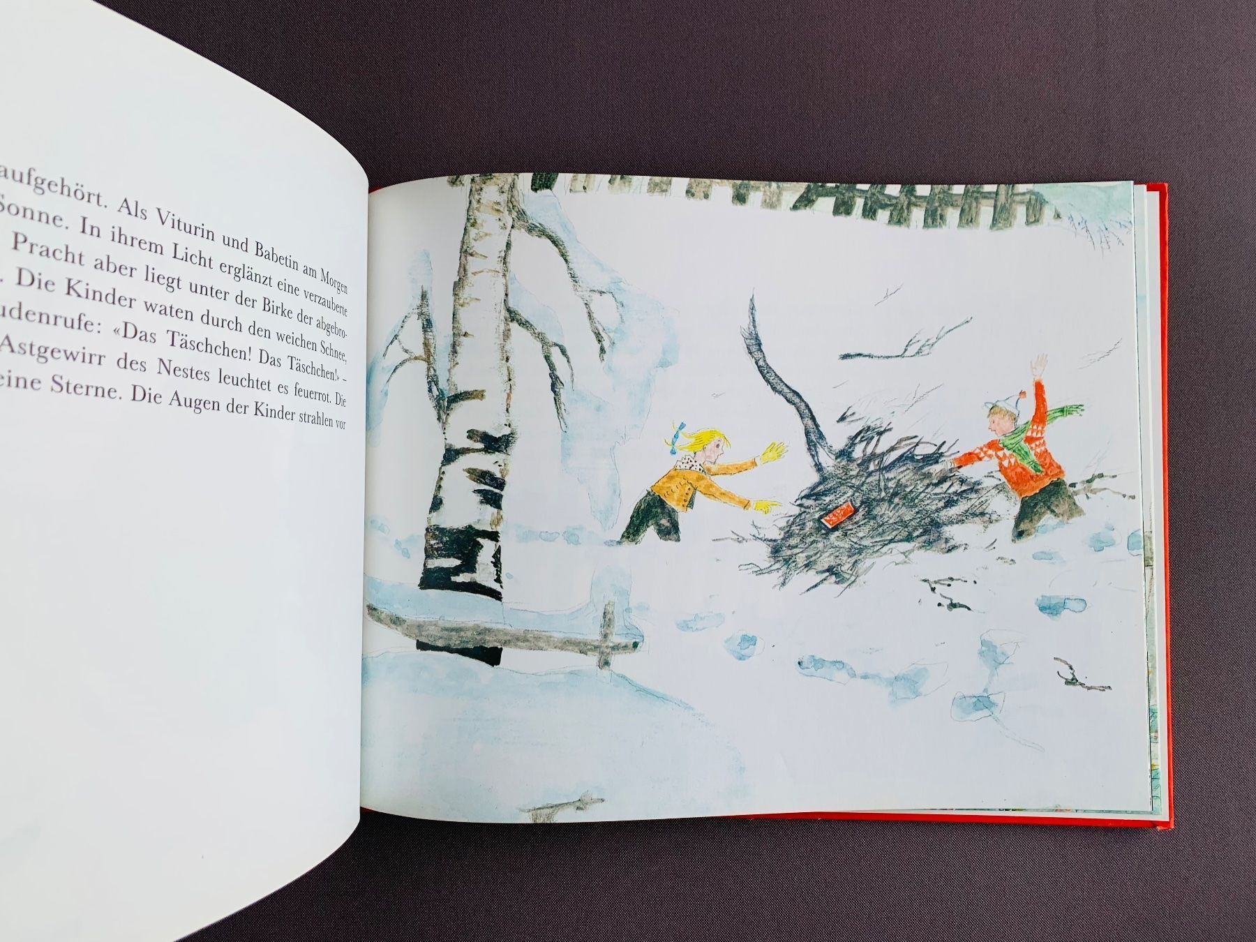 Libri: Kinderbuch: Birnbaum Birke Berberitze – Usato da Fehraltorf venduto da nolram75 2