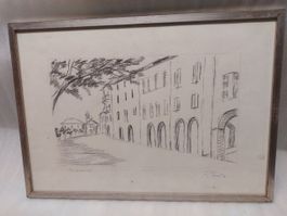 BISSONE - disegno con cornice - cm 50x35