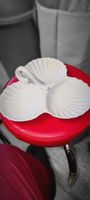 Muschelschale