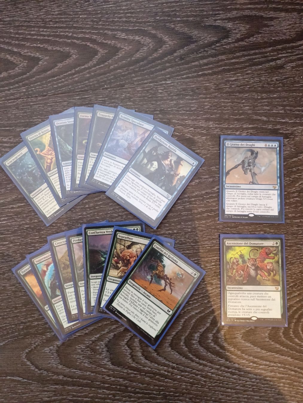 Magic The Gathering Carte collezionabili: MTG Commander sleeved "Swell the Host" (IT) – Nuovo (secondo la descrizione) da Glarus venduto da tale1991 2