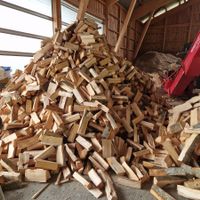Brennholz 25cm