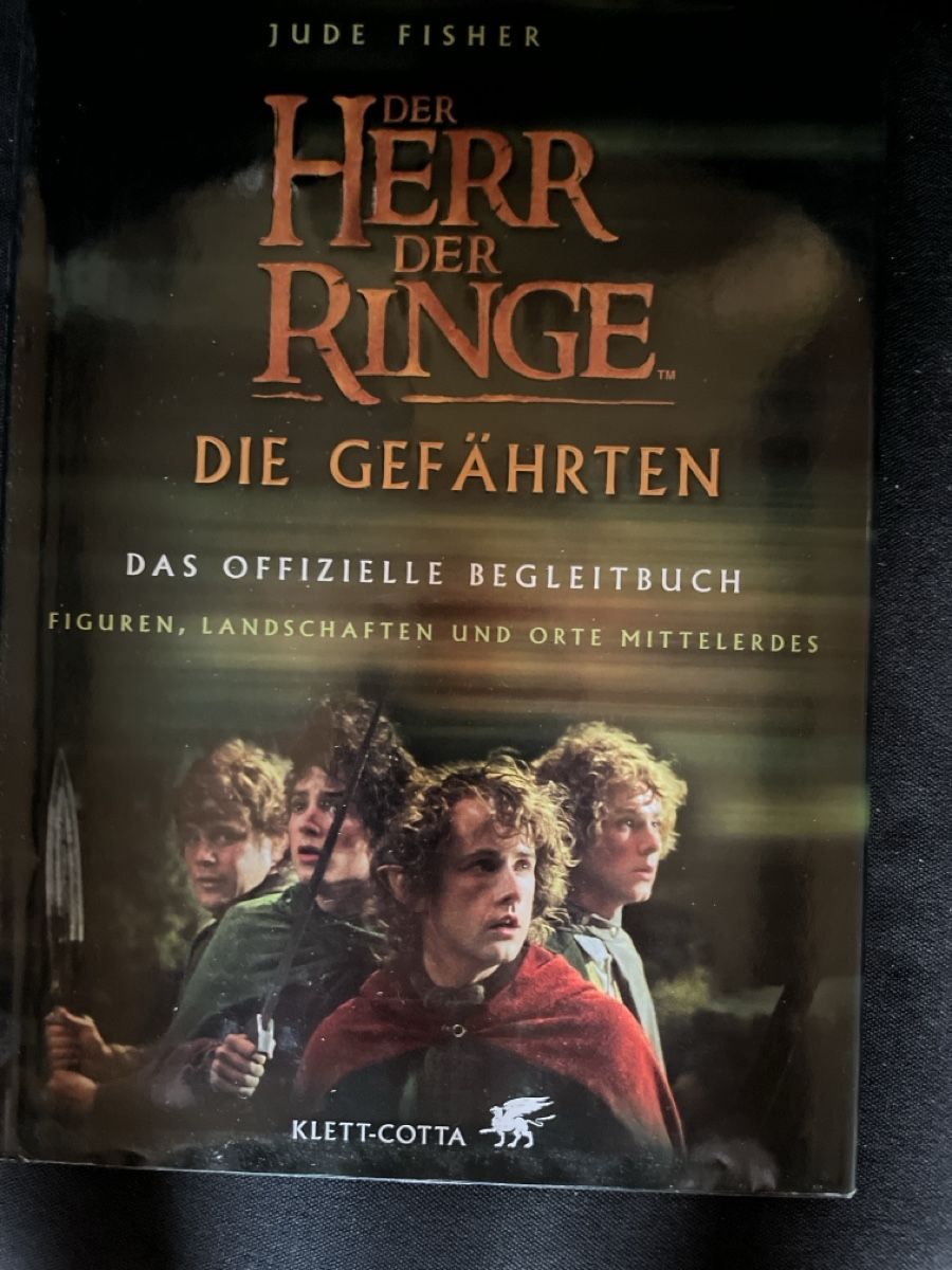 Libri: Buch Der Herr der Ringe Die Gefährten Begleitbuch – Usato da Giswil venduto da Nistsigi