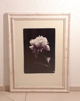 Vintage Bilderrahmen mit passendem Pfingstrosenbild