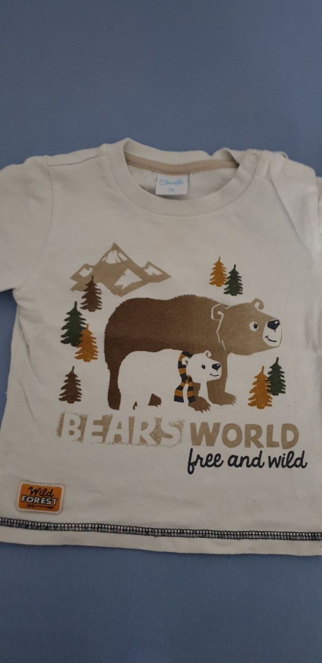 Pullover & Sweatshirts: Baby Pullover mit Hemd Gr. 74 – Gebraucht aus Pfaffnau von hei_9l9h 1