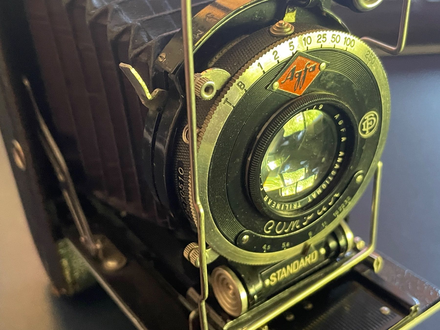 Agfa Kamera: Agfa Compur Standard Faltkamera – Gebraucht aus Volketswil von rubin74 4
