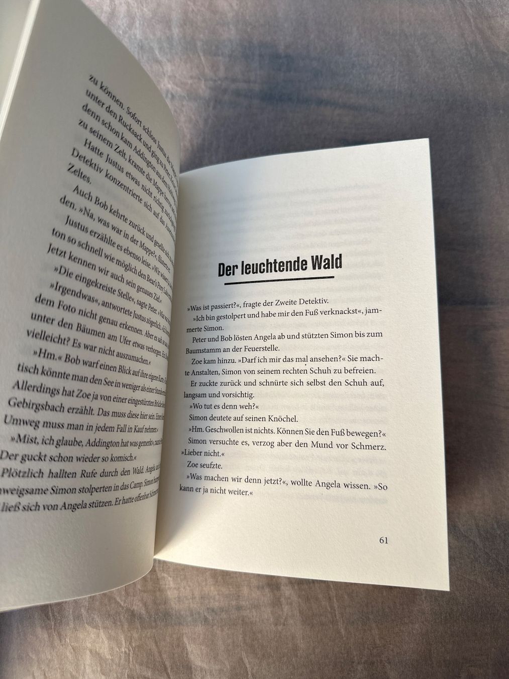 Libri: Die Drei ??? - Im Wald der Gefahren – Nuovo (secondo la descrizione) da Bern venduto da sch_lpx2 2