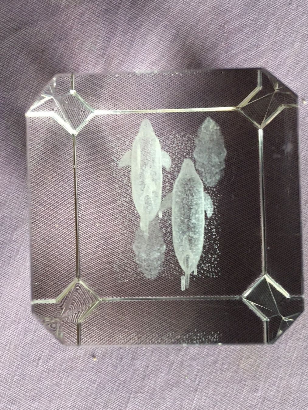 Bicchieri: Glasquader Delphine 3D – Usato da Bauma venduto da Budgerigar 5