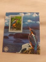 Carte Maximum du Bénin 2007 - Martin-pêcheur pêcheur!