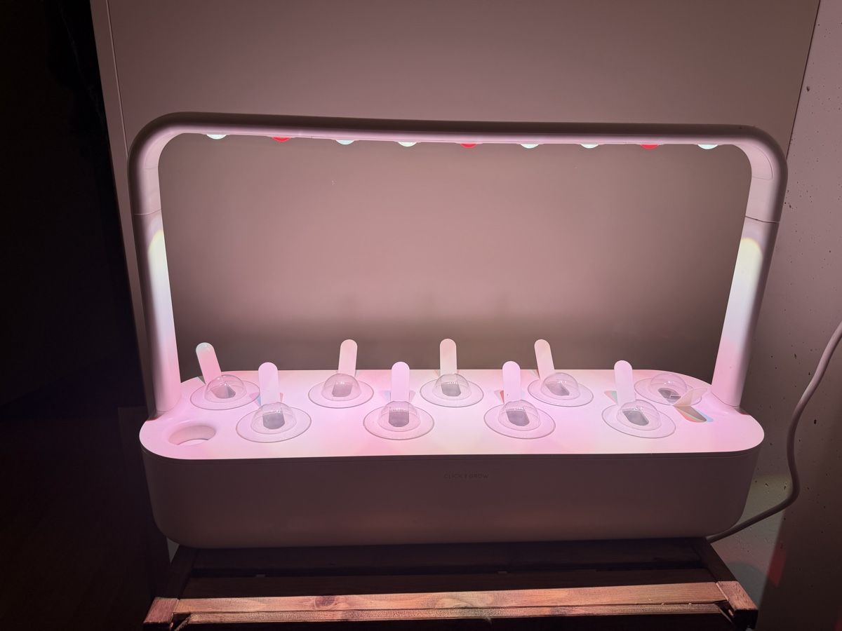 Click and Grow Blumentöpfe: Click and Grow Smart Garden - weiss – Gebraucht aus Bern von ITJO1