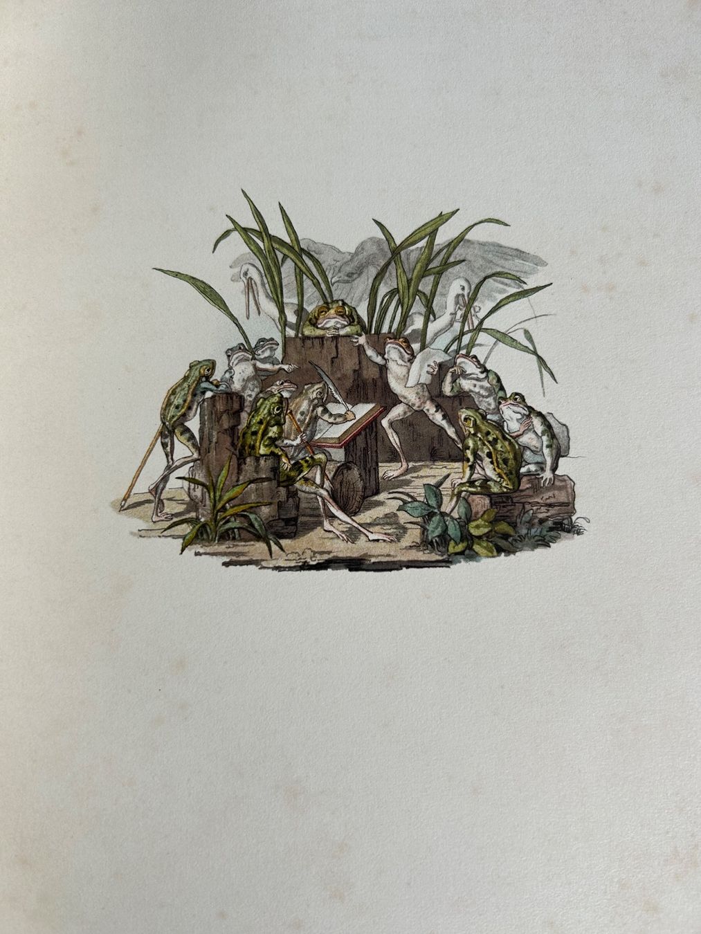 Bücher: Martin Disteli - Romantische Tierbilder – Gebraucht aus Basel von Peter_schlemihl 8