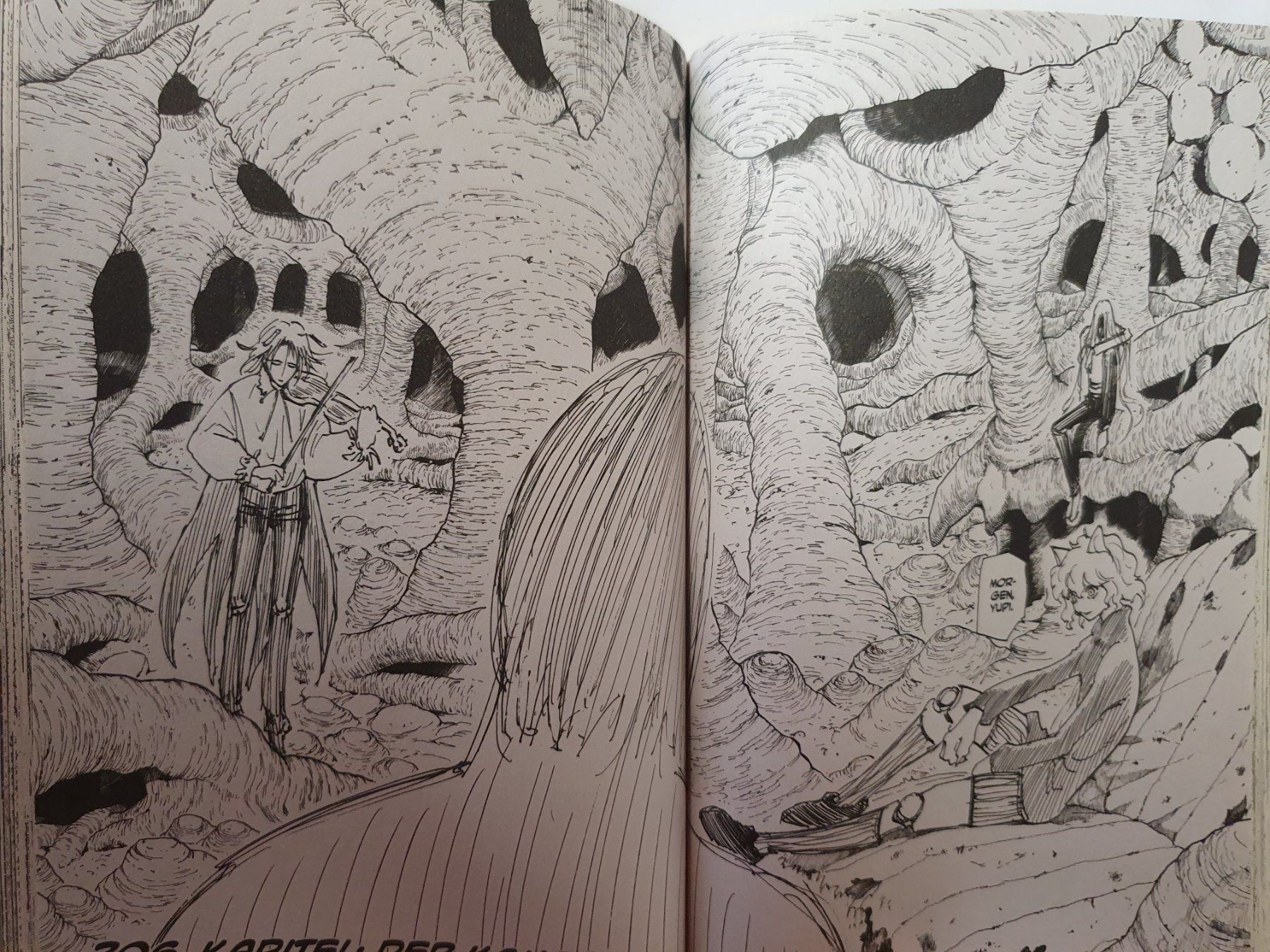 Comics: Hunter X Hunter Vol. 20 / Manga – Gebraucht aus Oberdorf BL von BaldenEagle 1