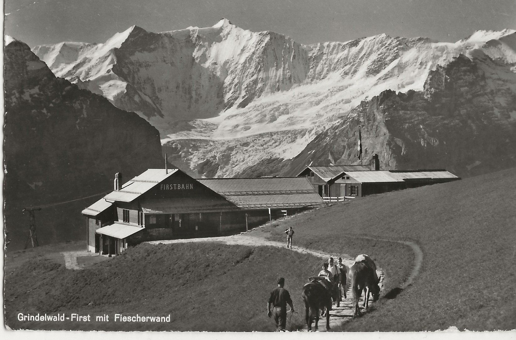 Cartoline postali: Grindelwald,Saumtier,Maultier,1965 – Usato da Frauenfeld venduto da Merk52