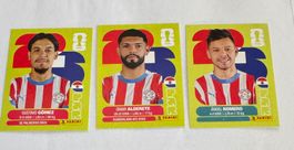 Panini FIFA World Cup WM 2026 - PARAGUAY - PAR 4 - 7 - 19