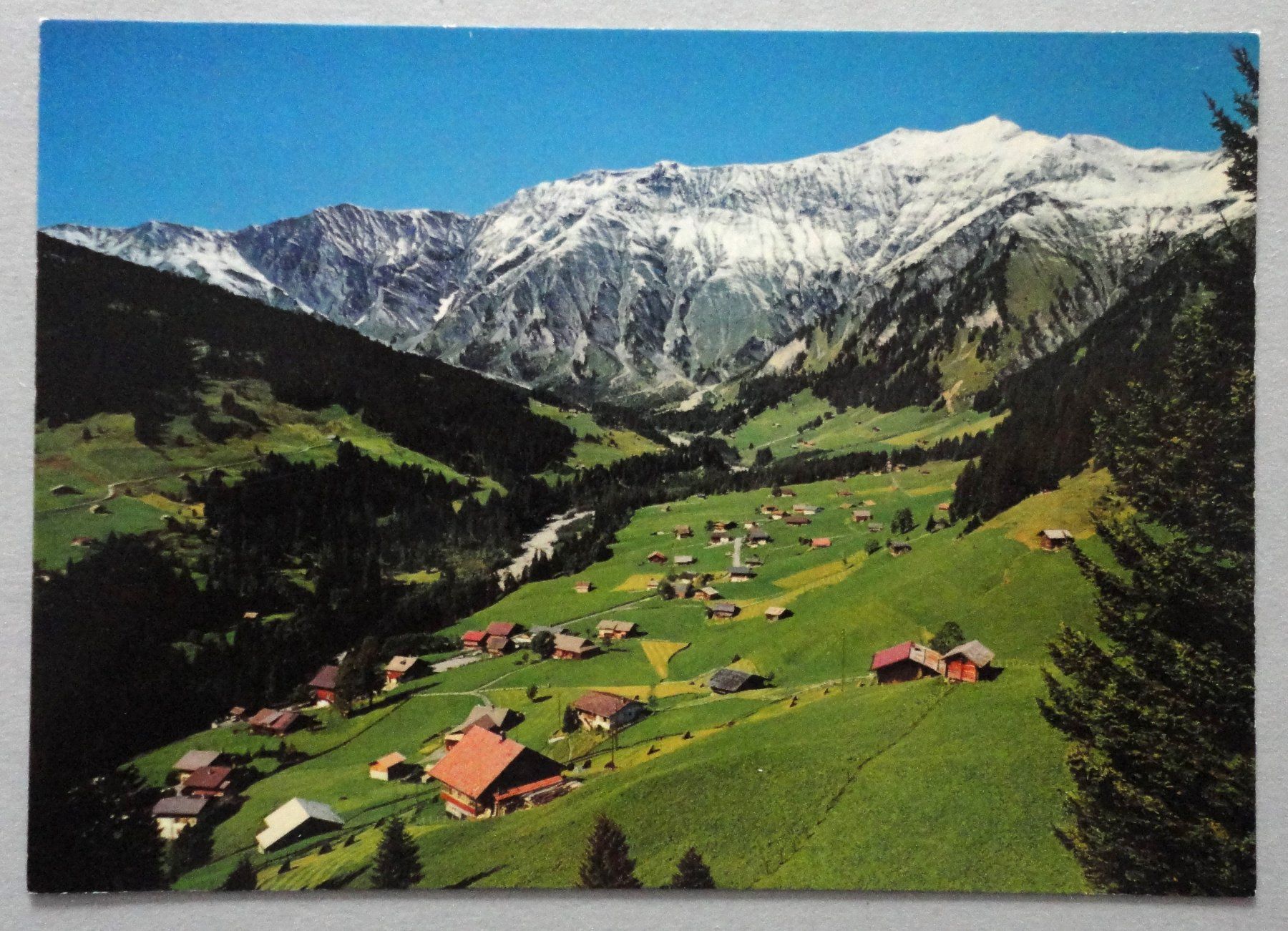 Cartoline postali: Stiegelschwand bei Adelboden, B.O. – Usato da Fétigny venduto da Billy2miny