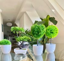 5 verschiedene Arten von künstlichen Bonsai