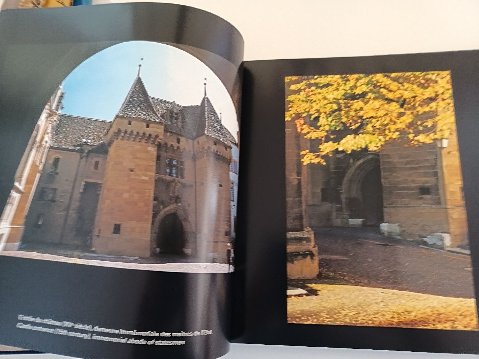 Libri: Livre Neuchâtel Clair-Obscur  – Usato da Bex venduto da Canouille 1