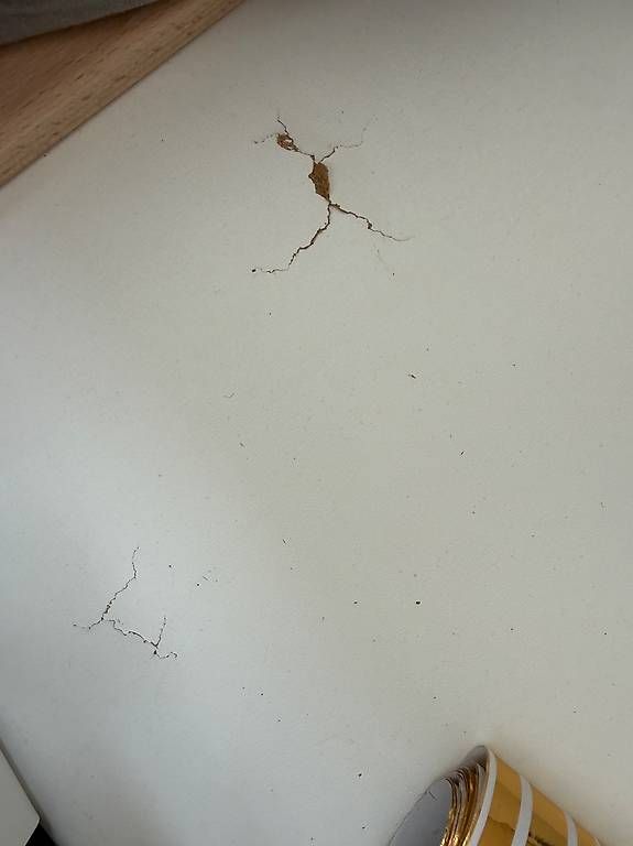 Divani: Boxspring Schlafsofa Dingo  – Usato da Zürich venduto da sophiamarie. 4