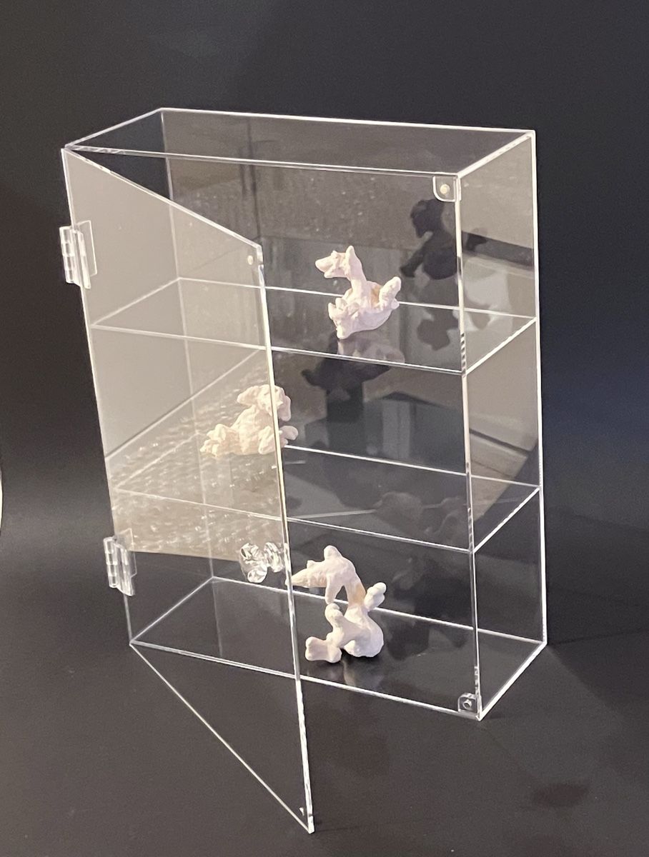 Vetrine: Neue Acrylvitrine (4cm feiner Kratzer in Front) – Nuovo e nell'imballaggio originale da Bremgarten AG venduto da merlindimi 2