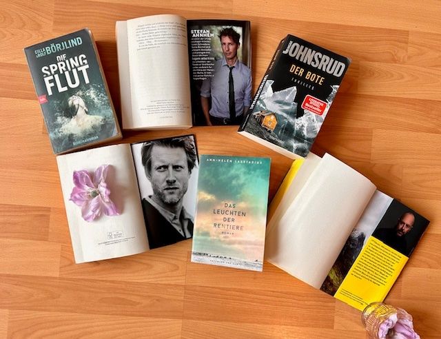 Bücher: Cilla & Rolf Börjlind, Stefan Ahnhem, Ingar Johnsrud, Robert – Gebraucht aus Bern von Denzel8 9