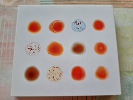 CD Peter Gabriel - Double best of - Scratch my back and....