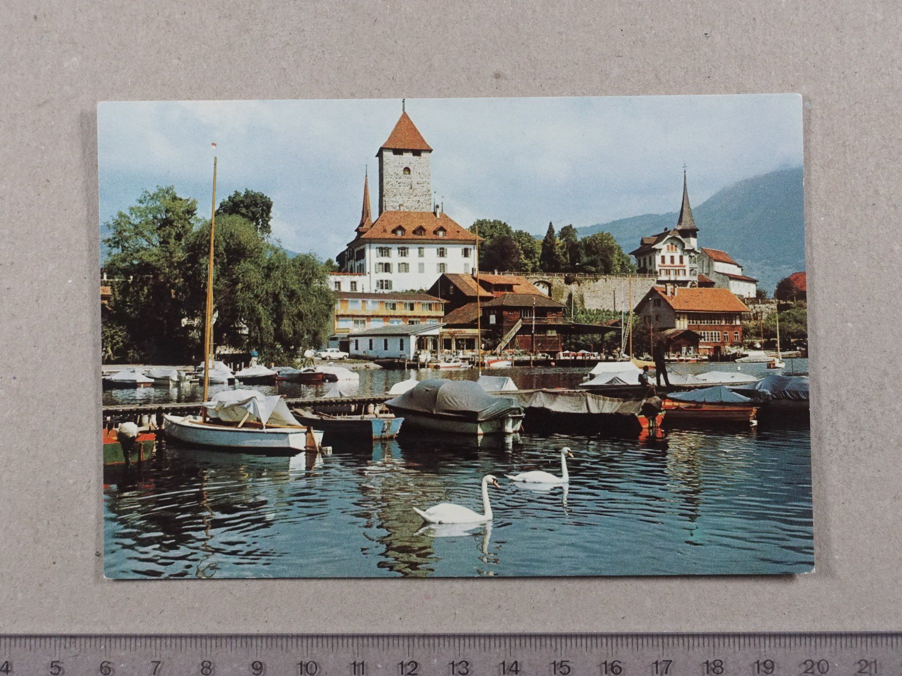 Cartoline postali: Thunersee, Schloss Spiez, Schwäne, Boote – Usato da Lenzburg venduto da fh1