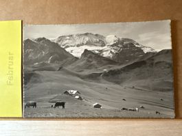 AK von Bahnenmoos Pass Adelboden Lenk / Wildstrudel