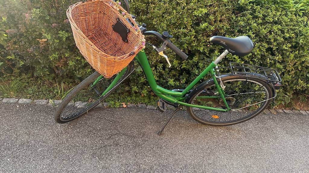 Velos: Velo 26, Green, gepflechte. – Gebraucht aus Steffisburg von dan_d7pt 4